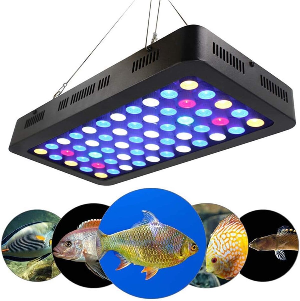 Test : lumière d'aquarium WDBZTJ 165W LED