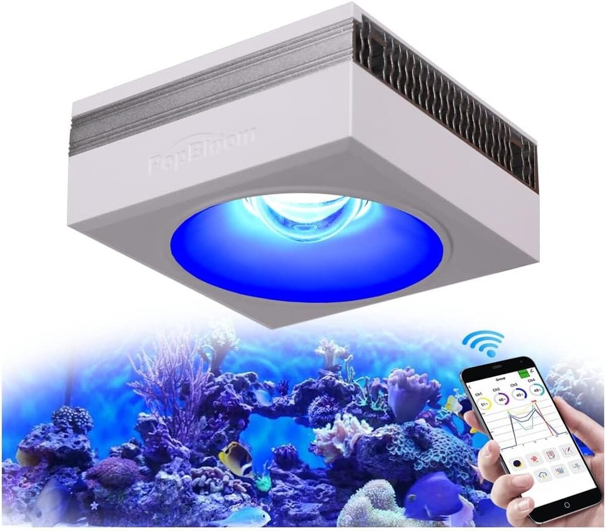 Test PopBloom RL90 : rampe LED performante pour aquarium de corail
