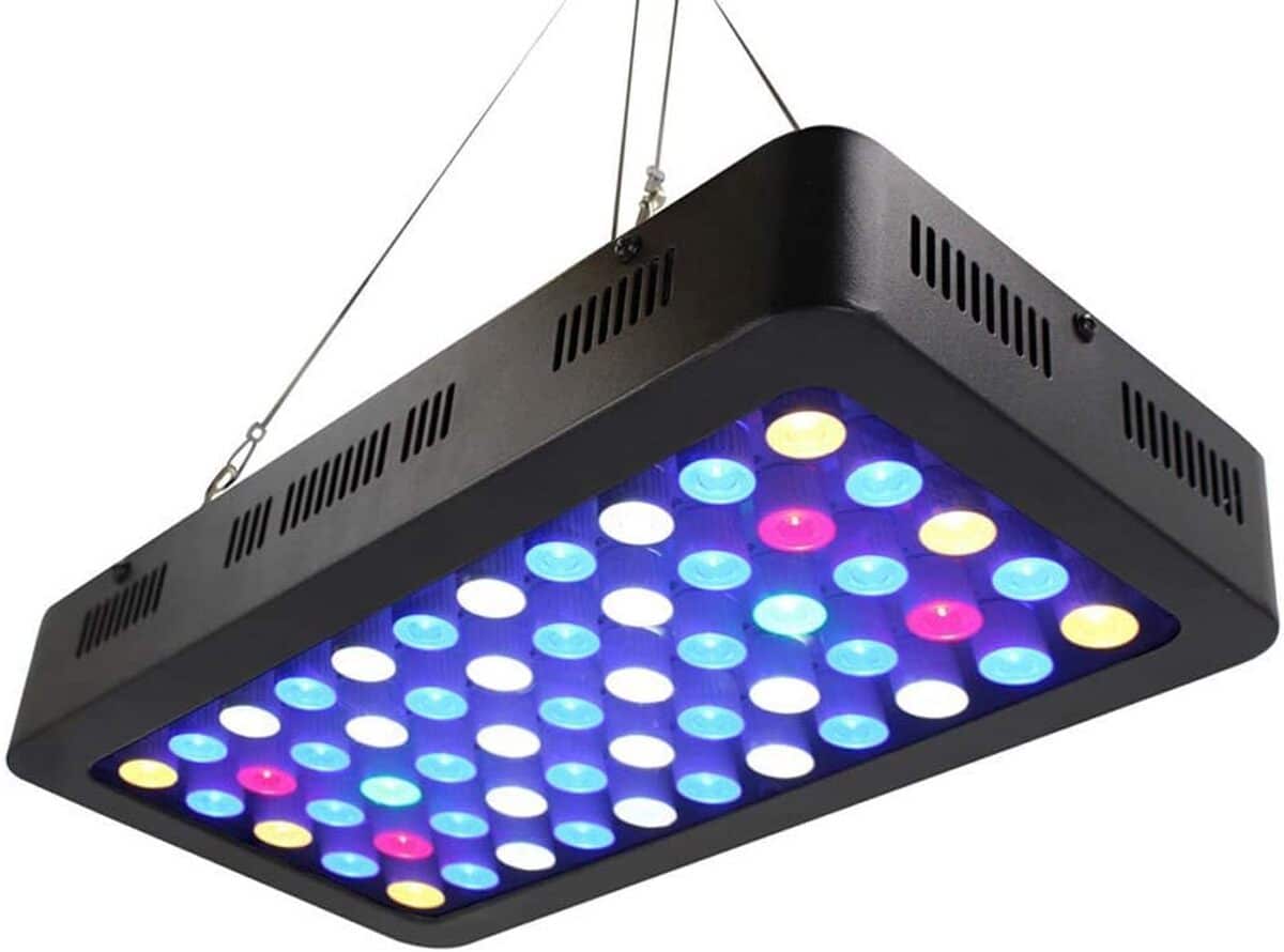 Test de la lumière d'aquarium ZTJ-Lighting 165W LED