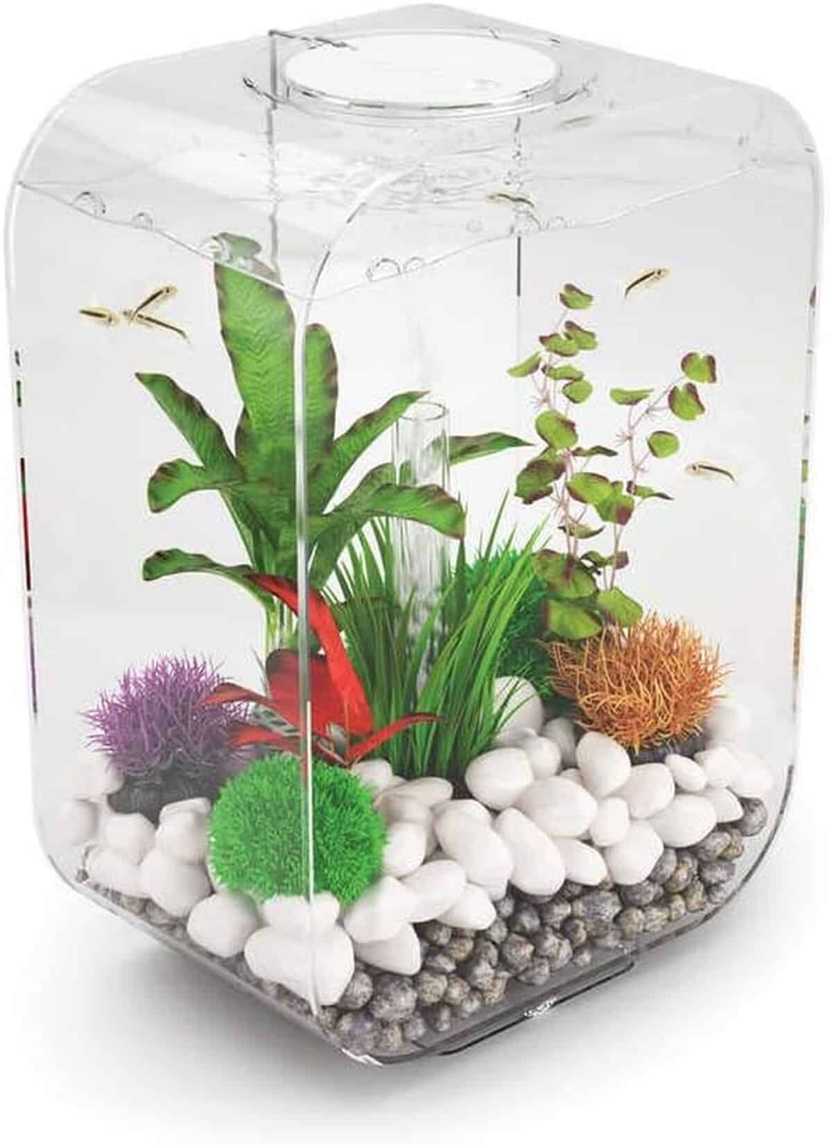 Test de l'aquarium Biorb Life 15L : design et innovation