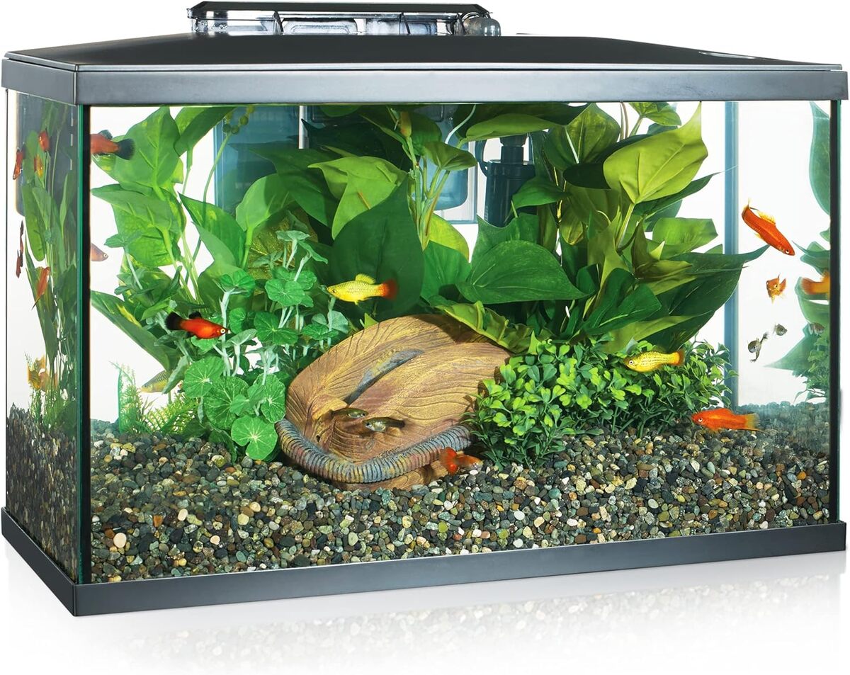 Test du kit LED Marina Verre pour aquarium