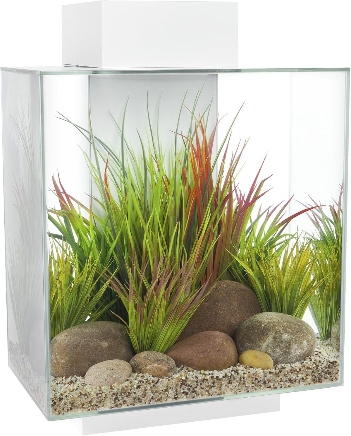Test : fluval aquarium Edge 46 L glossy blanc