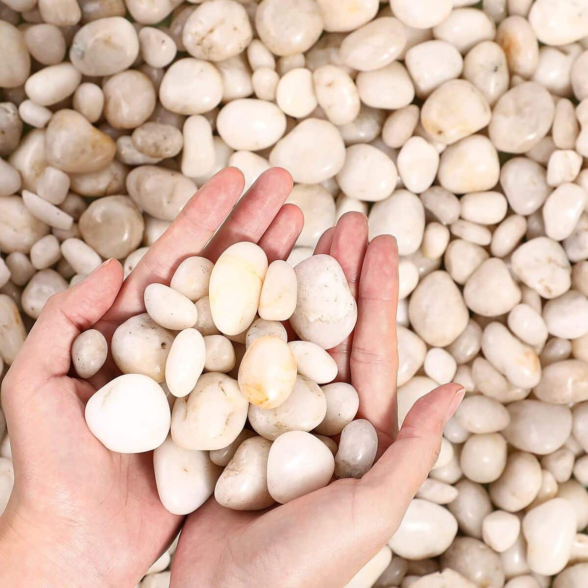Avis sur les galets Sasylvia : charme naturel pour votre déco