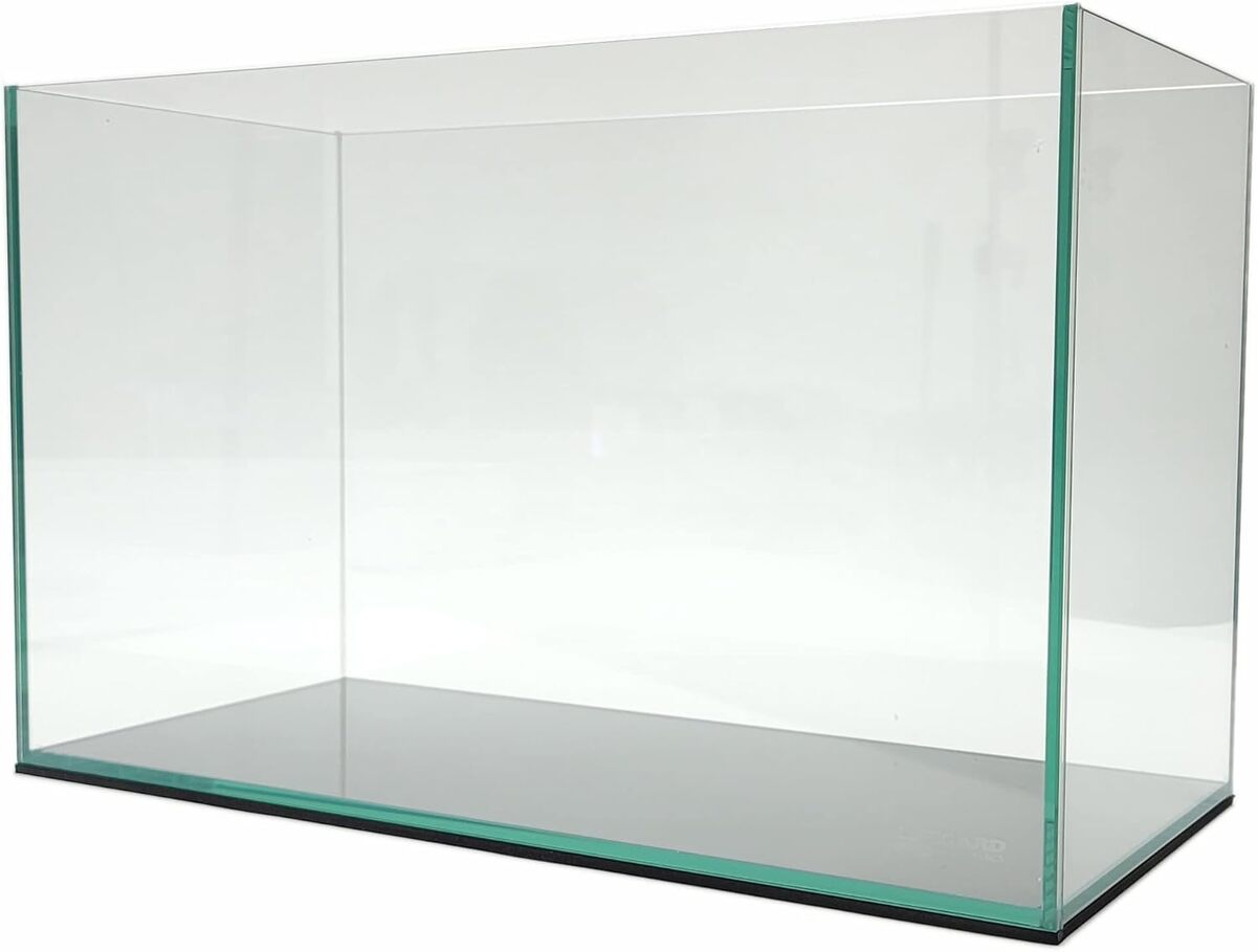 Test : aquarium Lifegard Aquatics sans bord en verre 5 mm