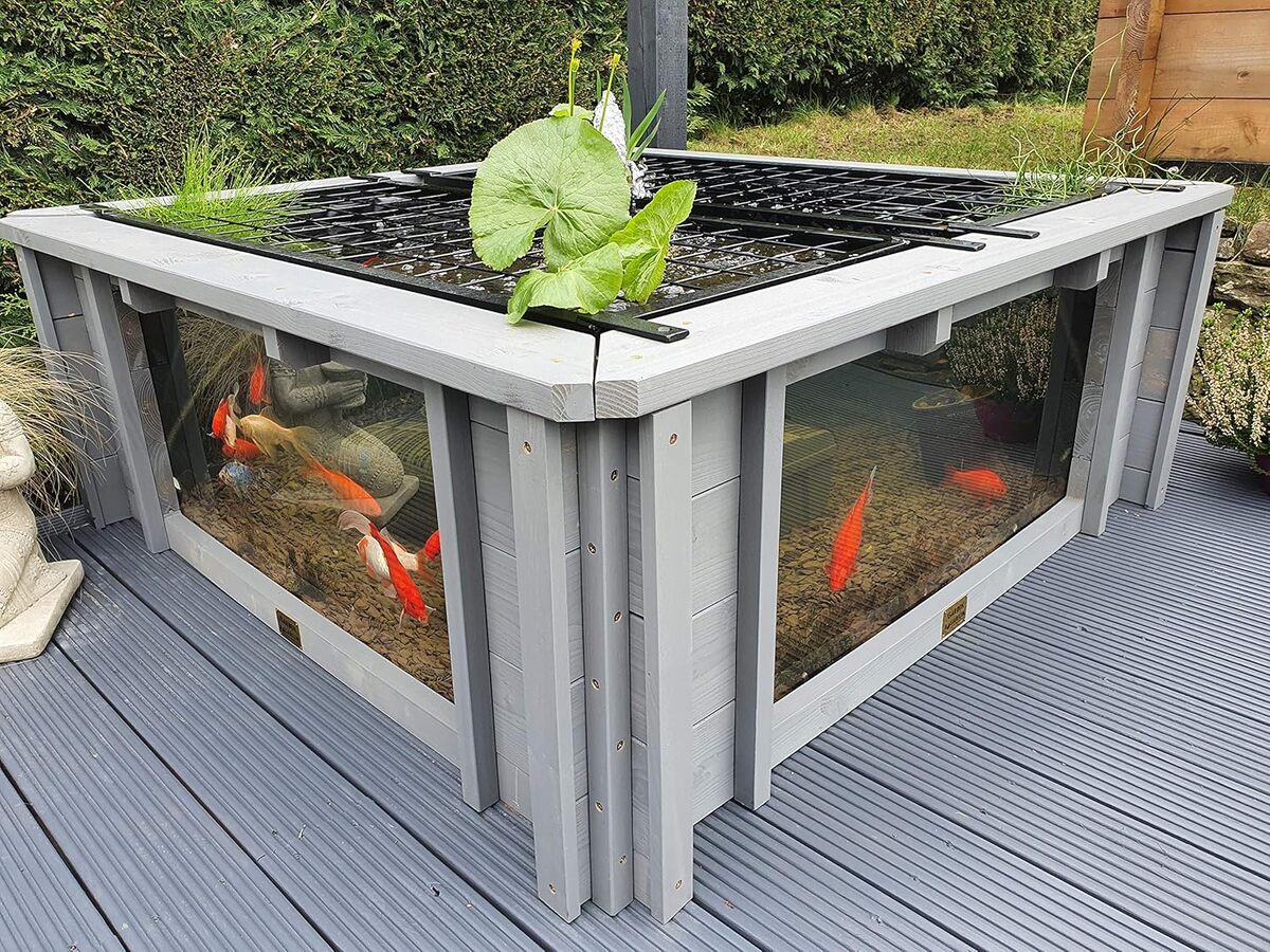 Test : aquarium Lotus Clear View, bassin surélevé avec fenêtres