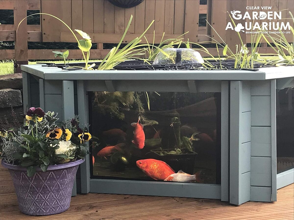 Test : clear view garden aquarium avec parois transparentes lily