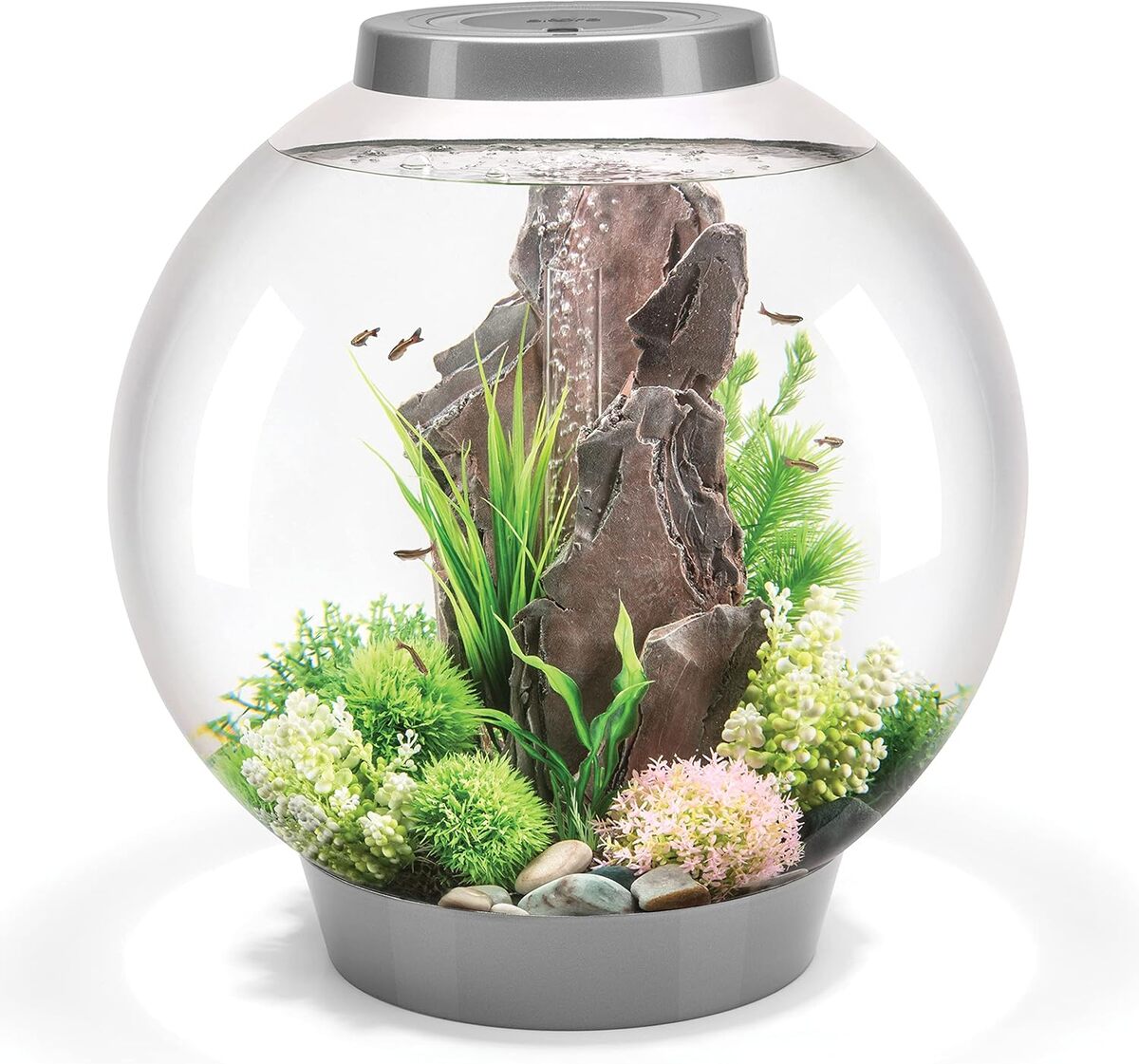 Test de l'aquarium biOrb Classic 60 LED argent