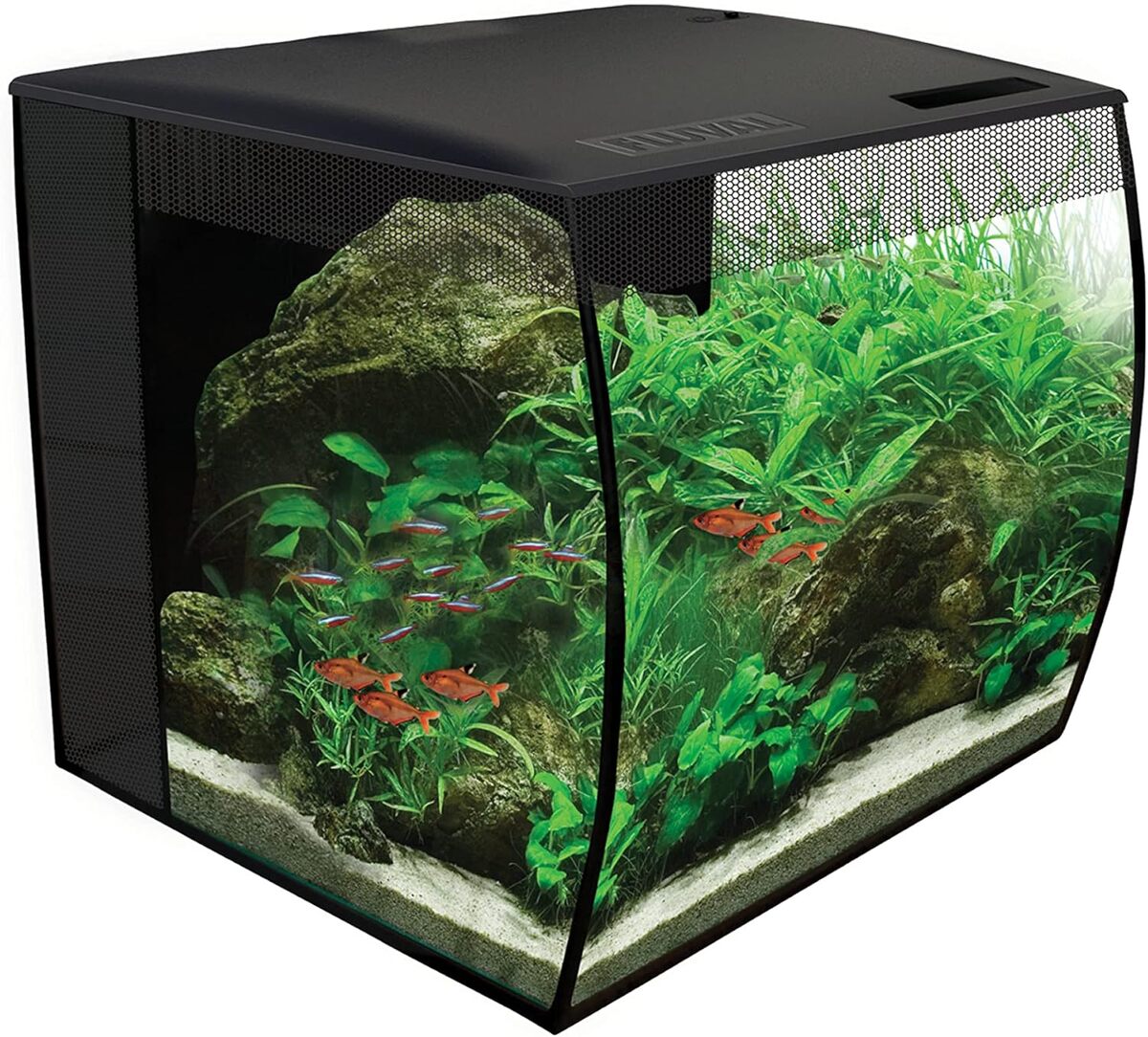 Test de l'aquarium équipé Fluval Flex 34 L en noir