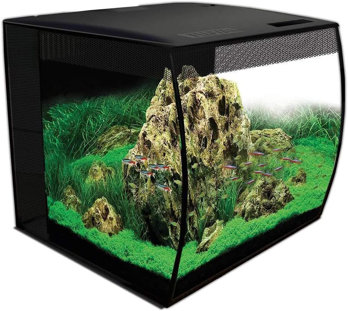 Test de l'aquarium Fluval Flex LED 57 L : un concentré d'innovation pour aquariophiles
