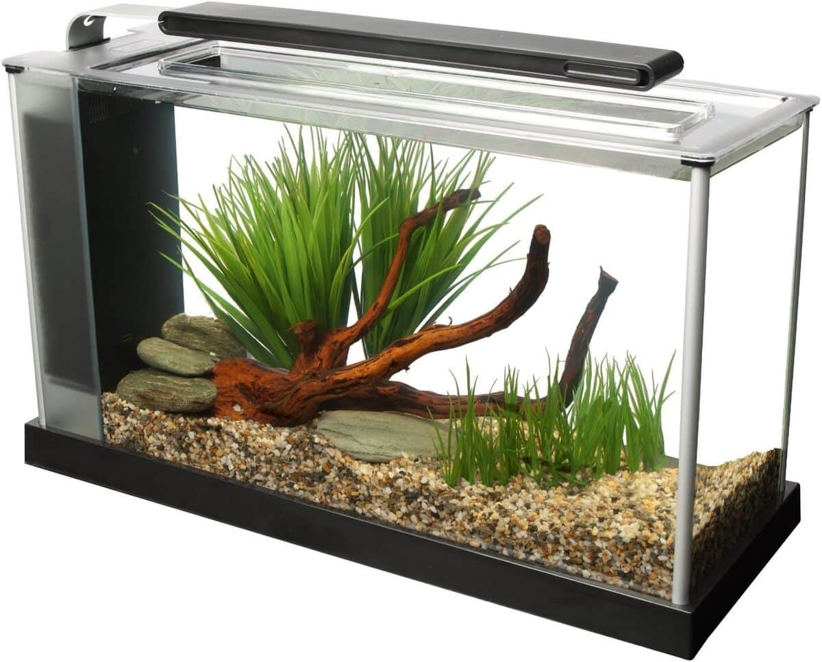 Test de l'aquarium Fluval Spec V 19 L noir