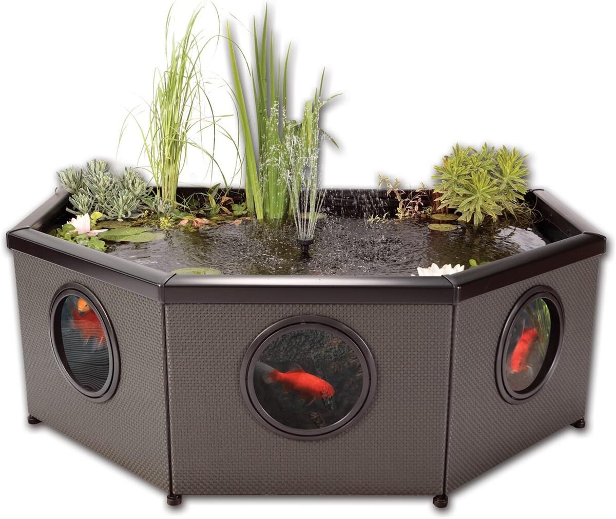 Test du bassin aquatique Blagdon Affinity Living octogone