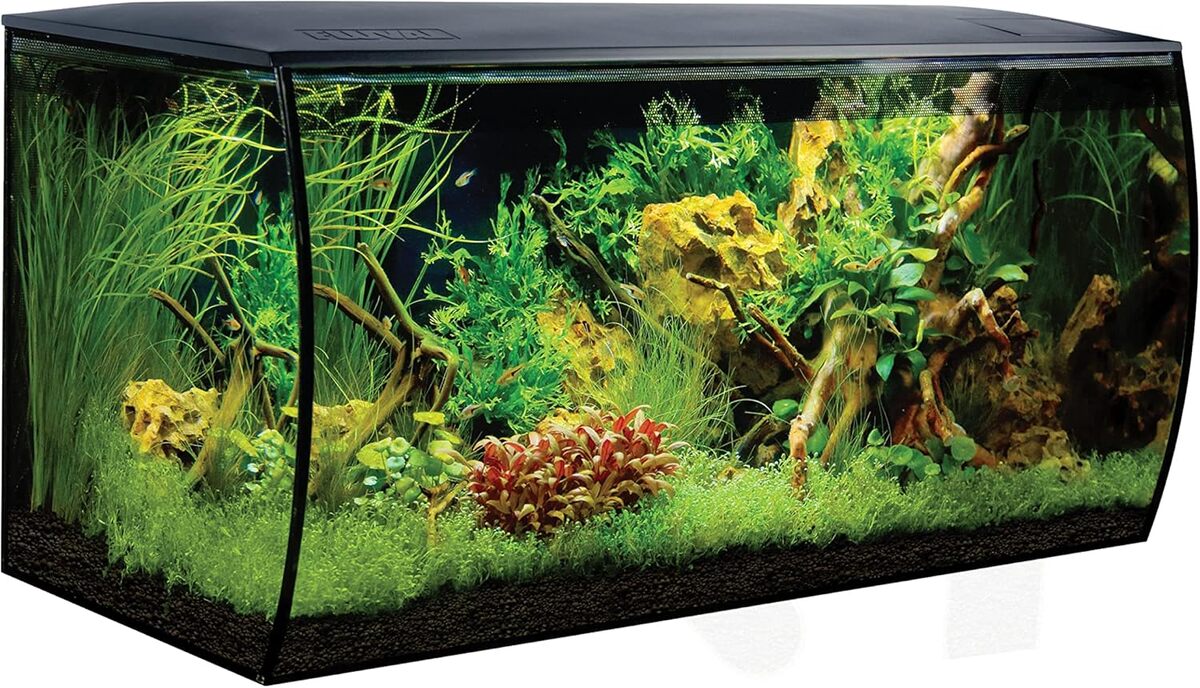 Test du Fluval 14995 Flex