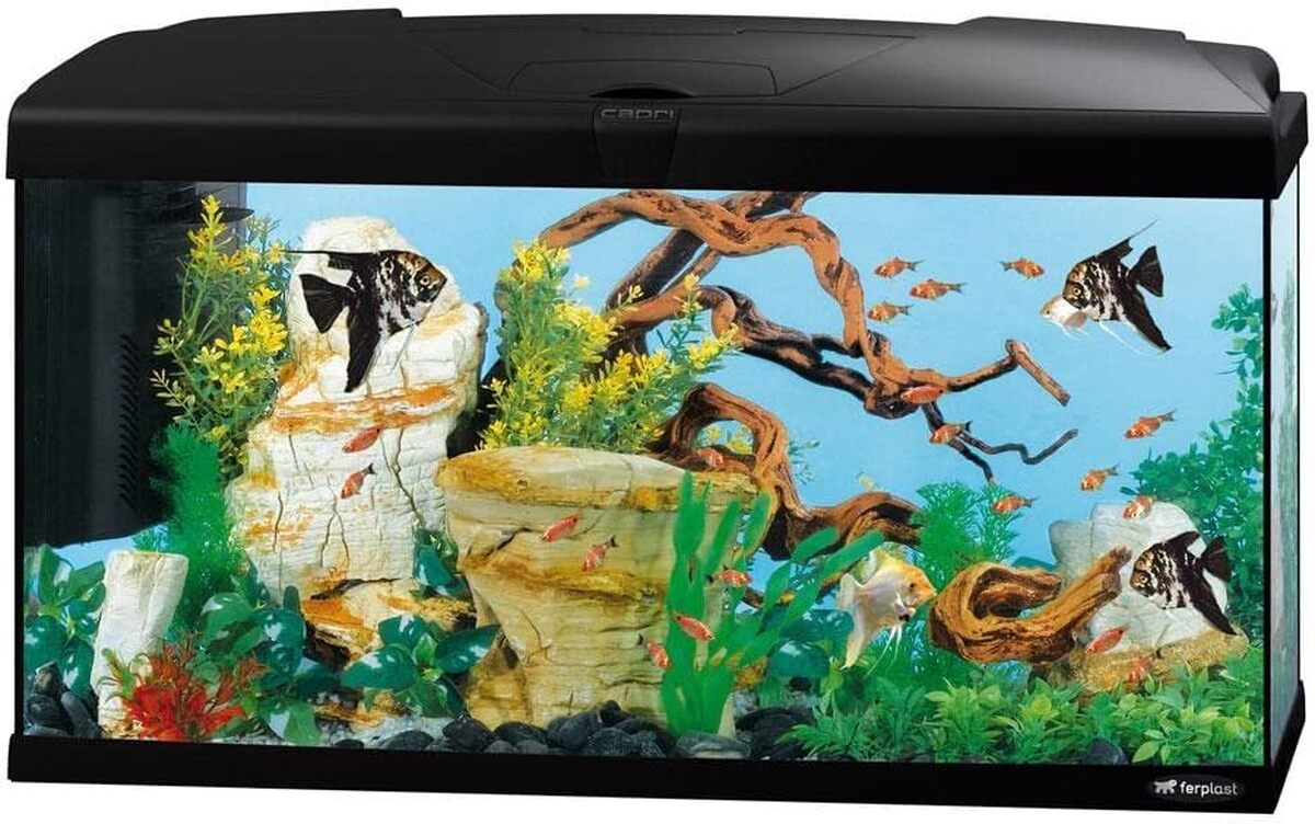 Test Ferplast Capri 80 : aquarium 100L compact et performant