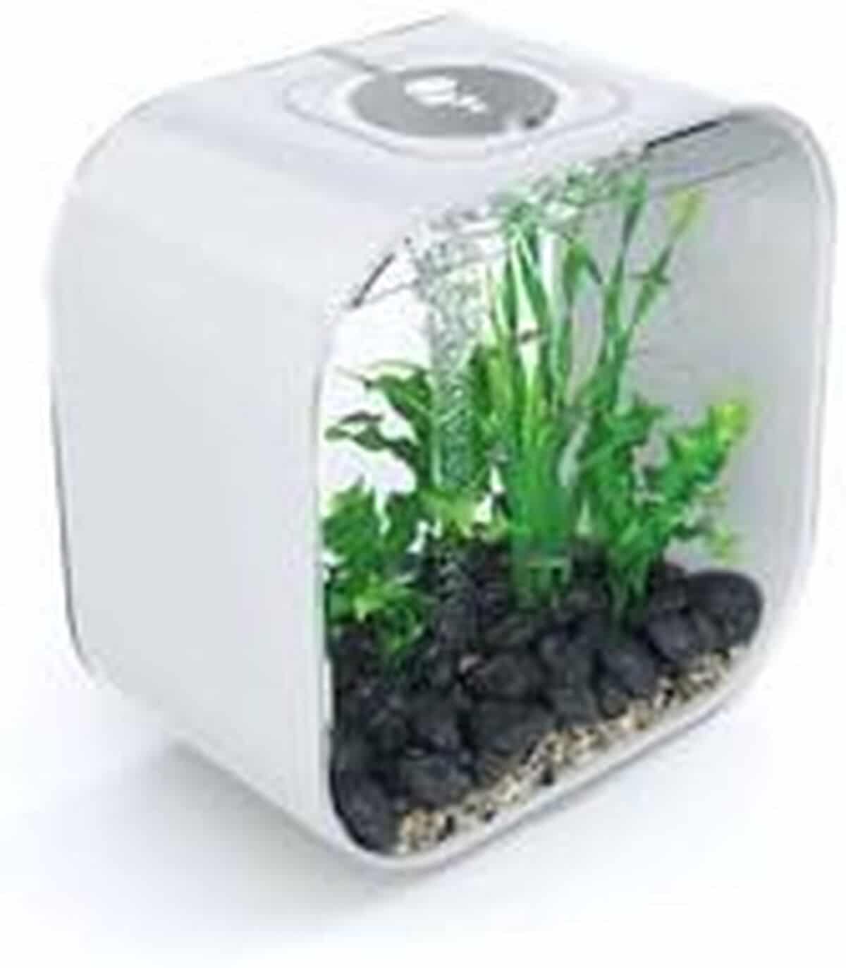 Test : biOrb Life Carré 30 aquarium blanc