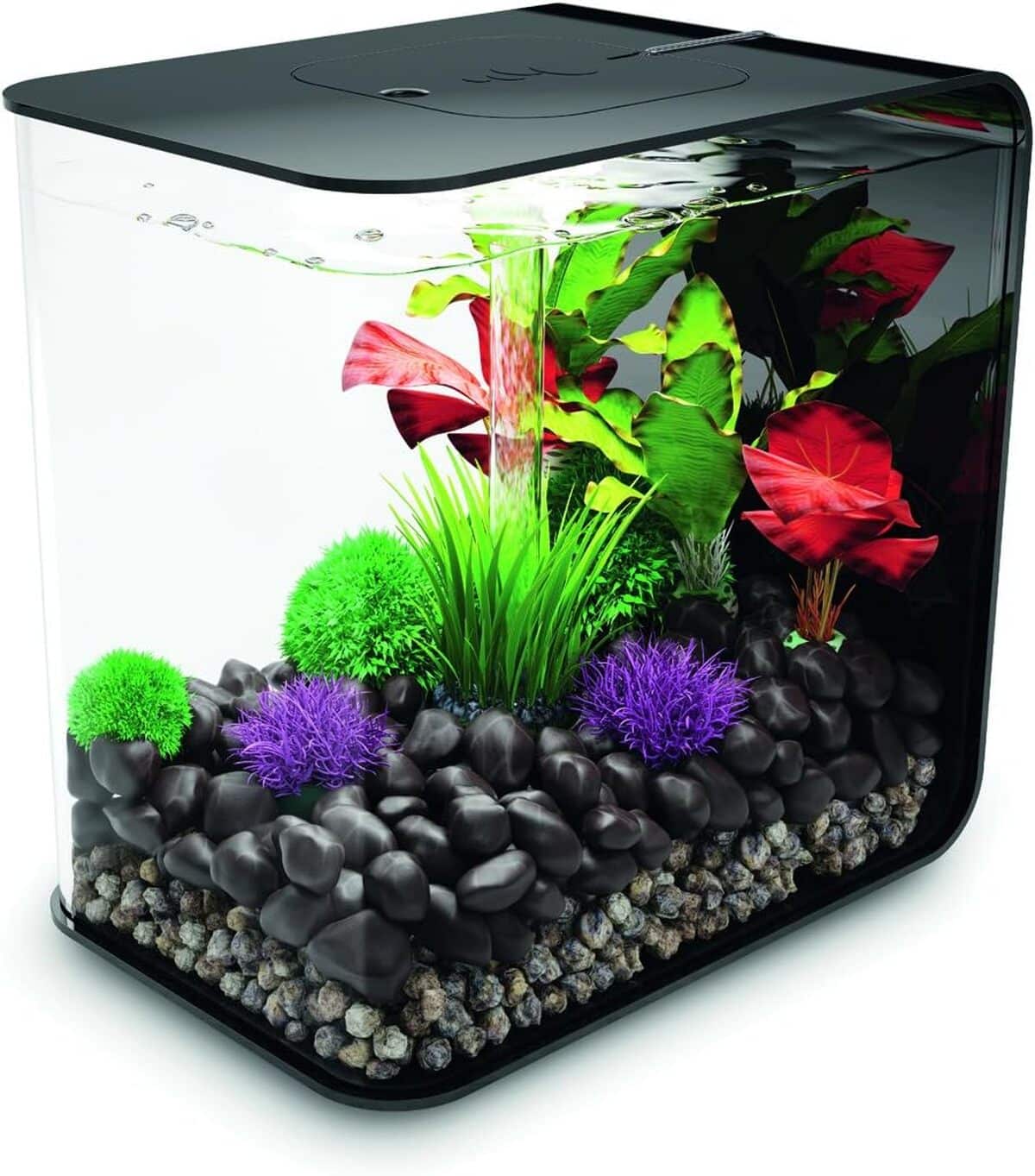 Test de l'aquarium biOrb Flow 15 LED noir : élégance et performance