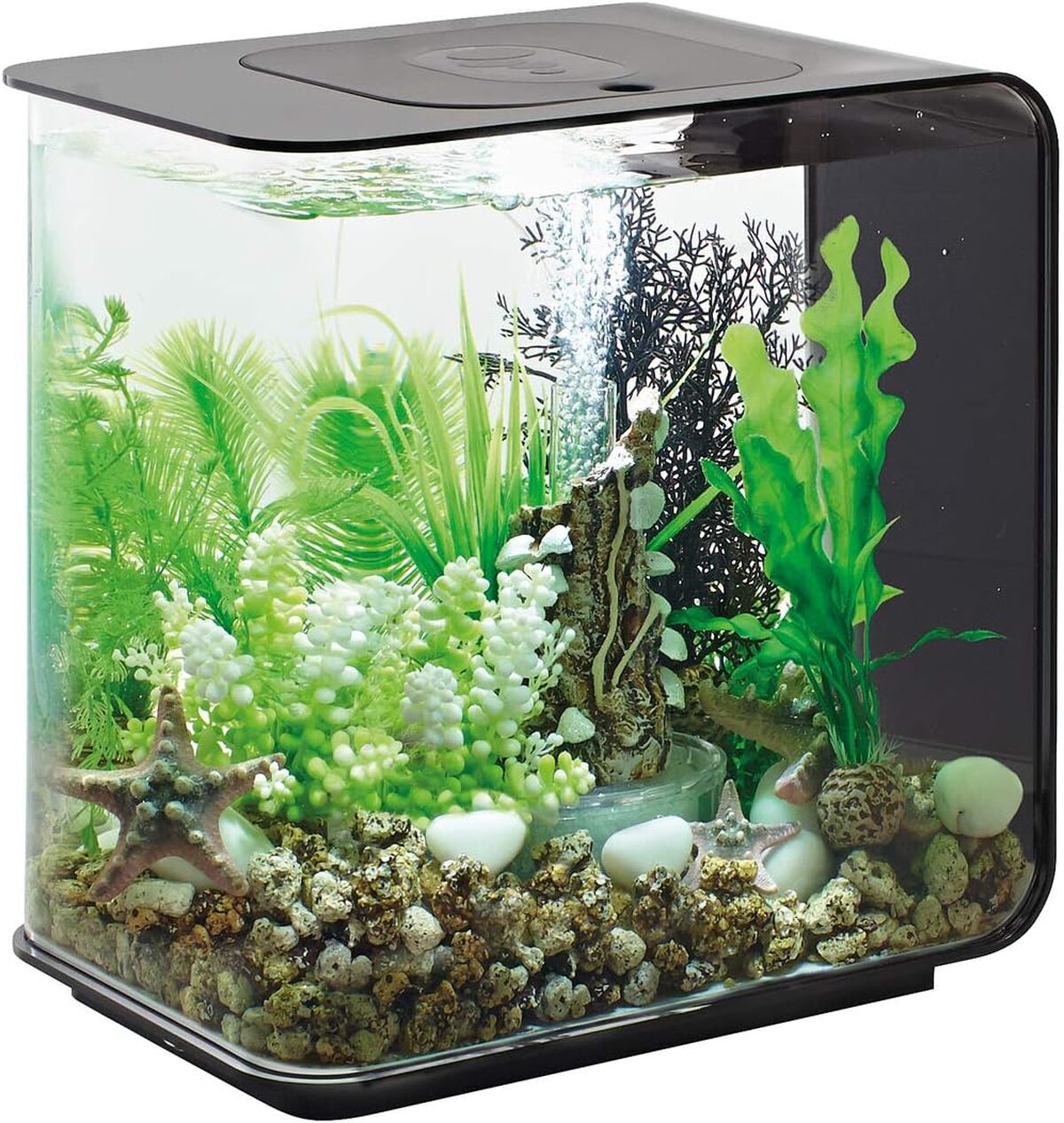 Test de l'aquarium biOrb FLOW 15 LED noir