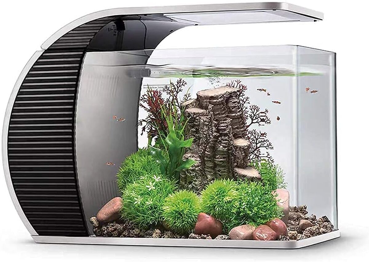 Test du compact aquarium hygger 19 litres avec LED et filtration discrète