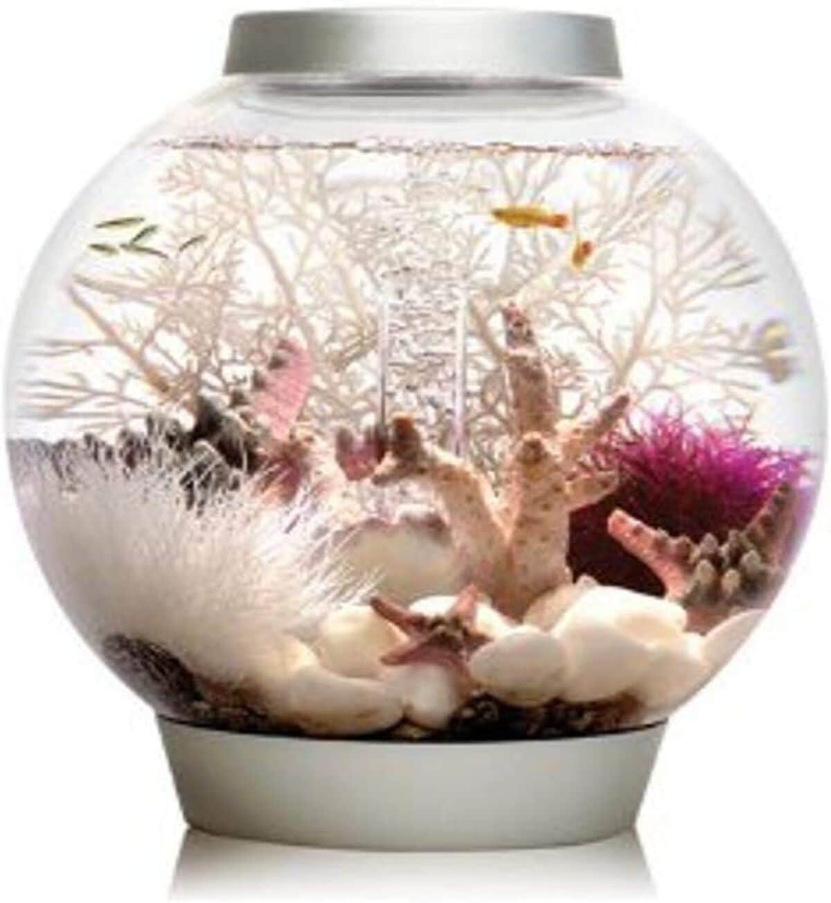 Test : aquarium Biorb 30x32 cm noir