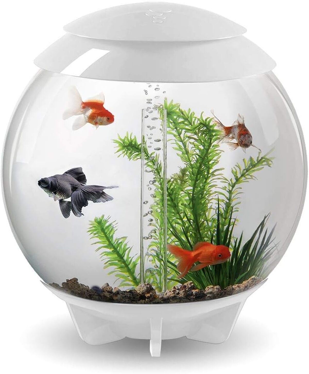 Test : biOrb HALO 30 LED blanc, aquarium design et moderne