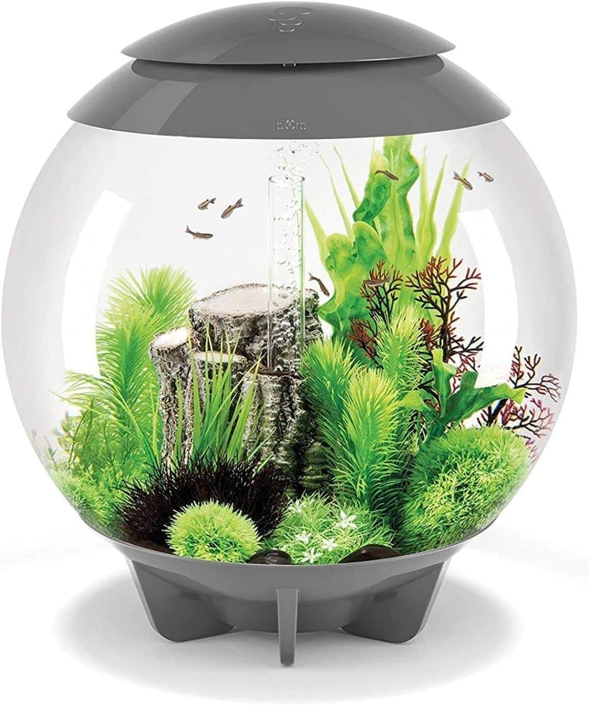 Test de l'aquarium biOrb Halo 60 MCR gris