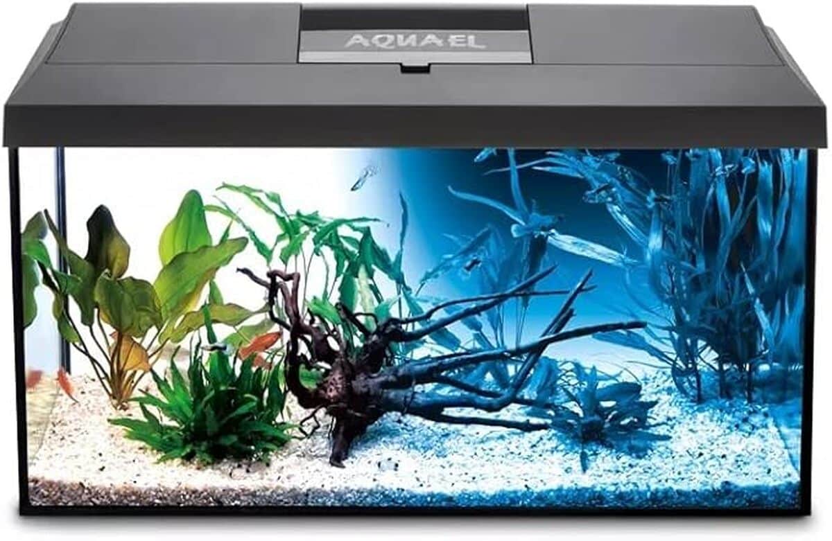 Test : aquael Leddy Kit – Aquarium LED complet noir 41 cm