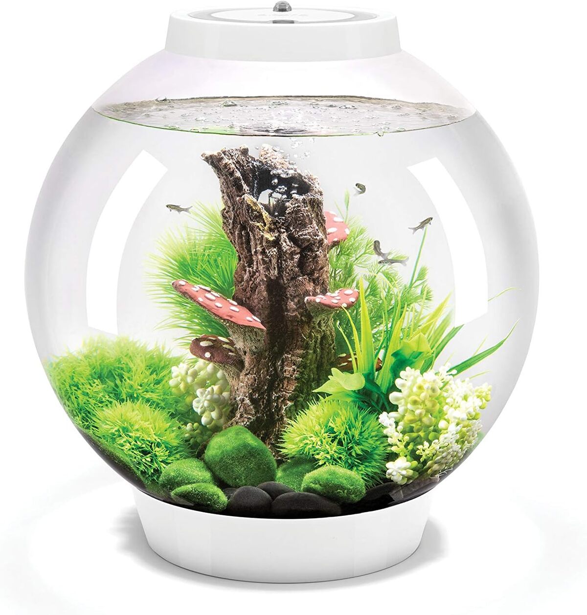 Test de l'aquarium Biorb classique 30L LED MCR blanc