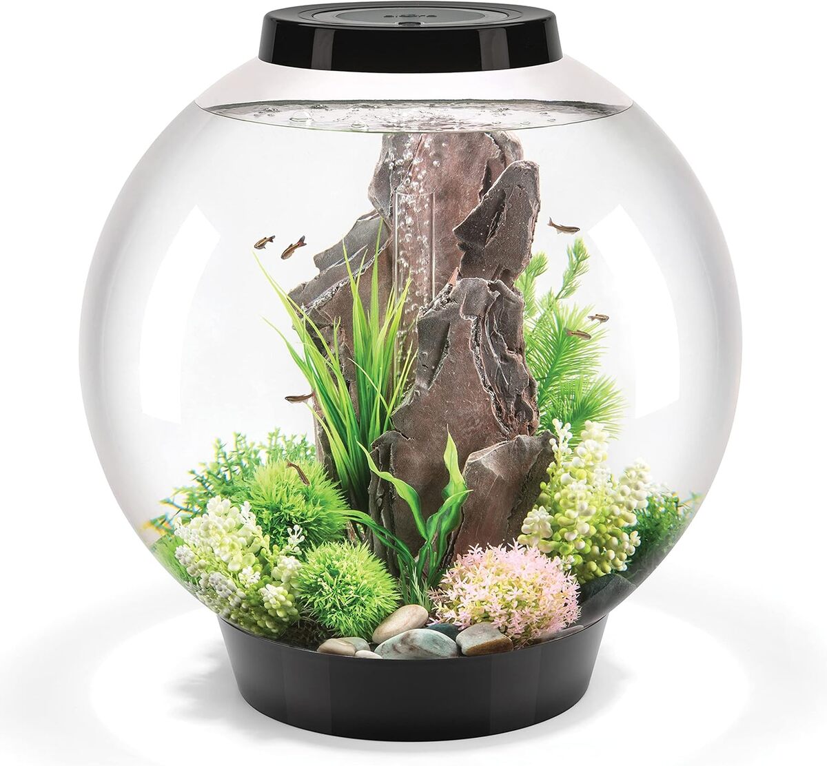 Test du biOrb CLASSIC 60 LED noir : aquarium élégant et moderne