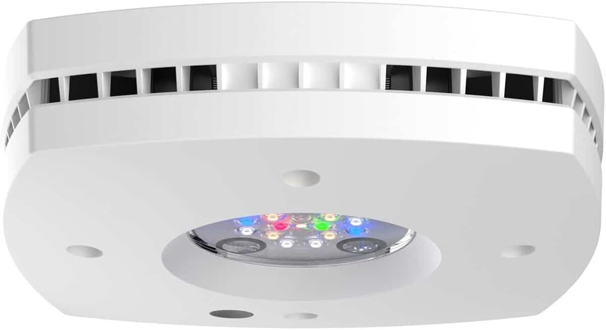 Test : éclairage LED pour aquarium AI Prime 16 HD