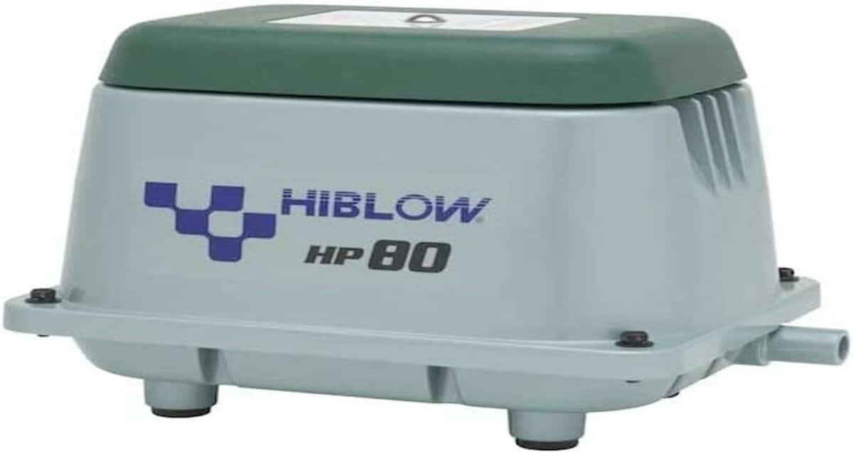 Test de la pompe à air Hiblow Hp-80 : performance et efficacité