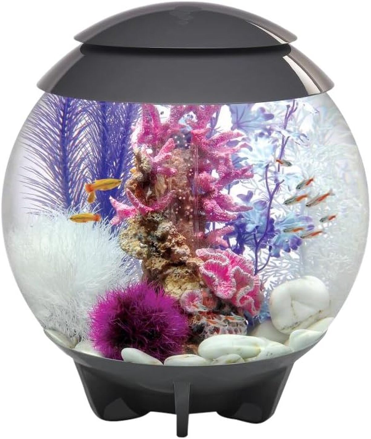 Test de l'aquarium Biorb Halo 30 L gris