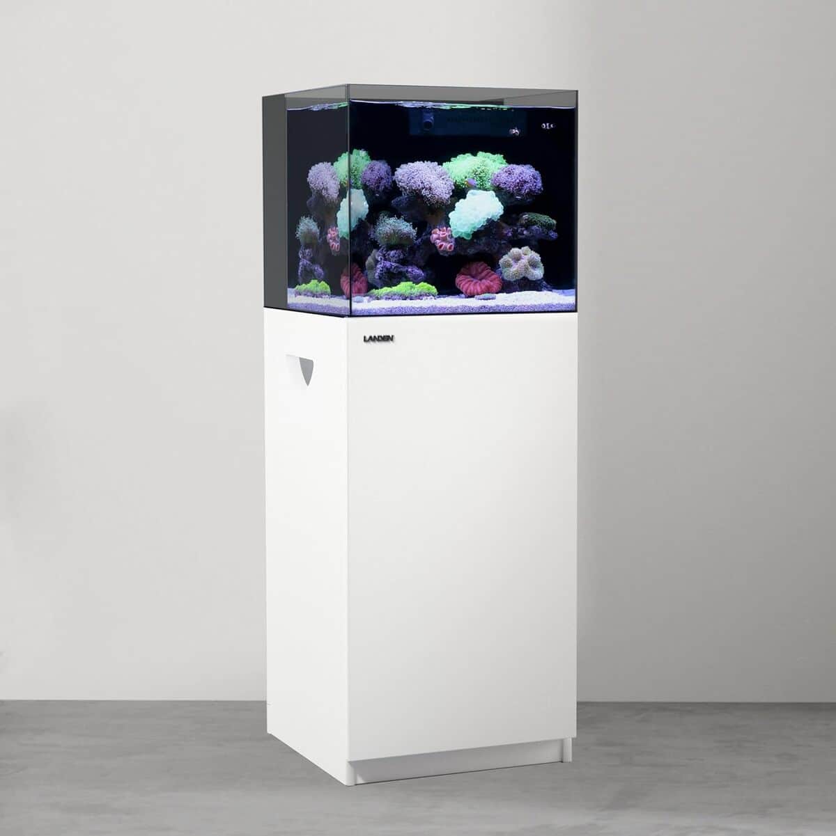Test du support LANDEN en bois blanc pour aquarium 78L