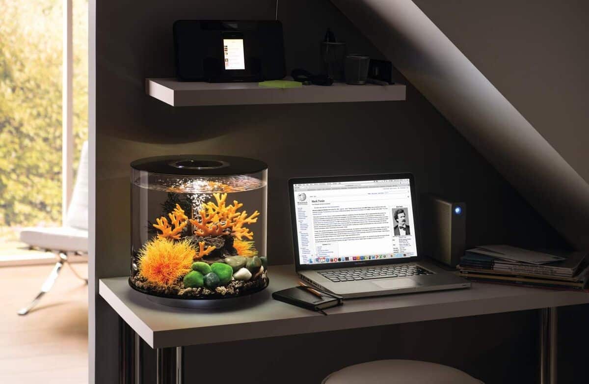 Test de l'aquarium BiOrb Tube 15 l MCR blanc