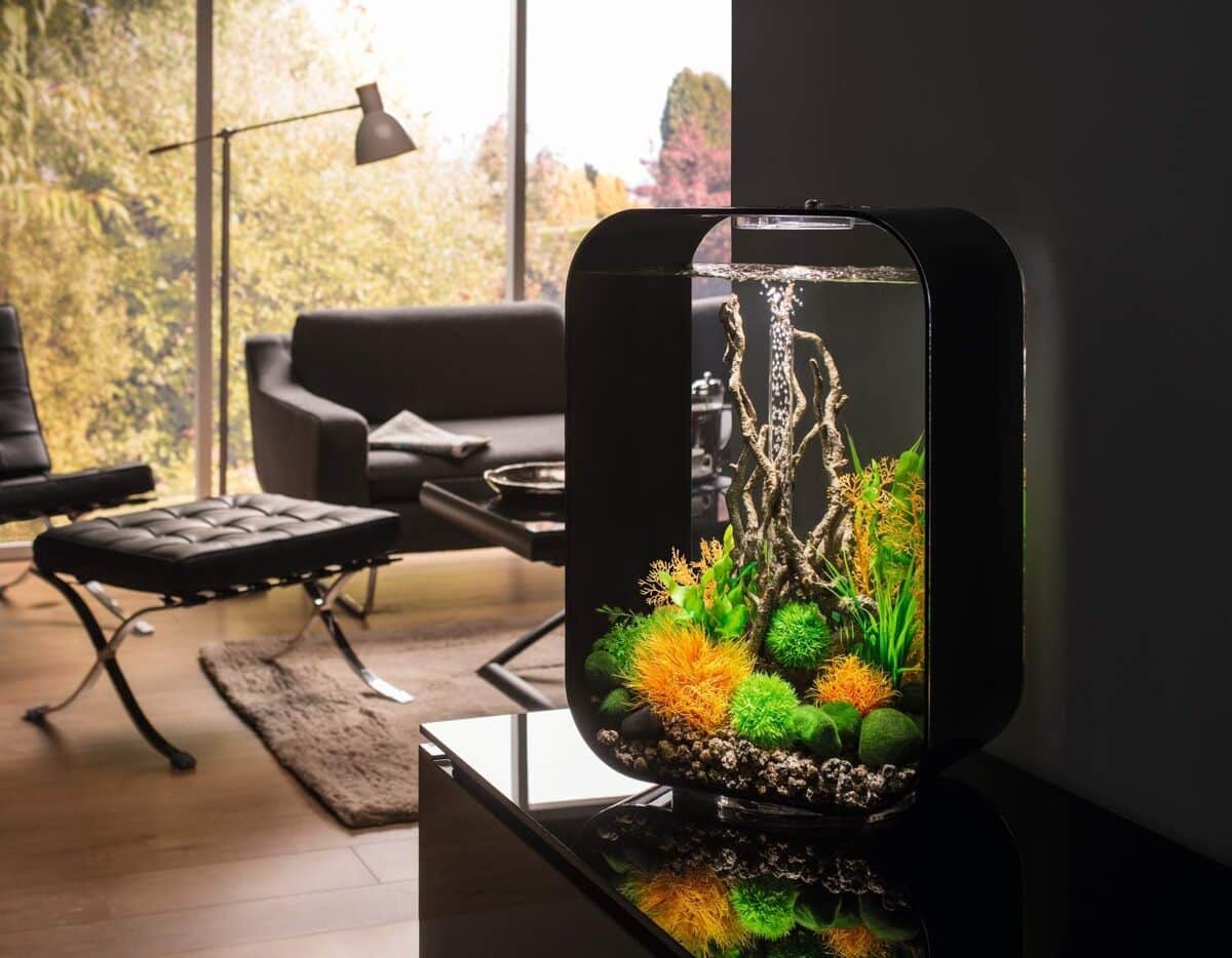 Test de l'aquarium biorb LIFE 45 MCR blanc