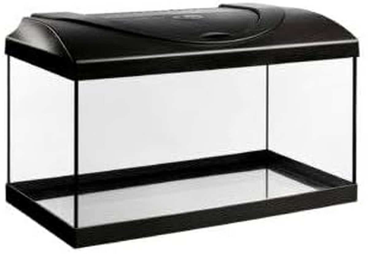 Test de l'aquarium LED Diversa complet en noir