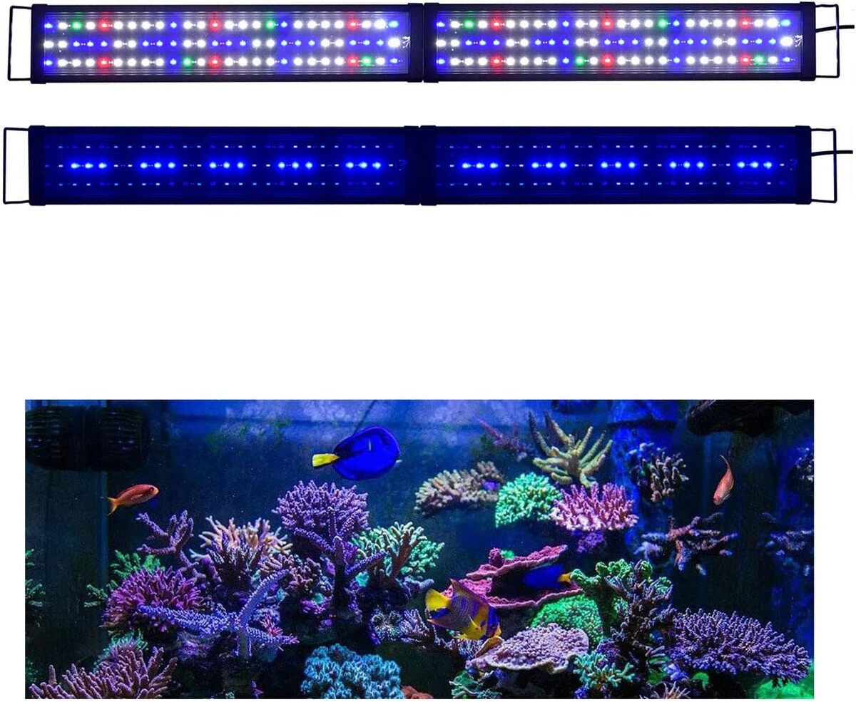 Test de l'éclairage LED Kzkr pour aquarium à spectre complet 122-152 cm