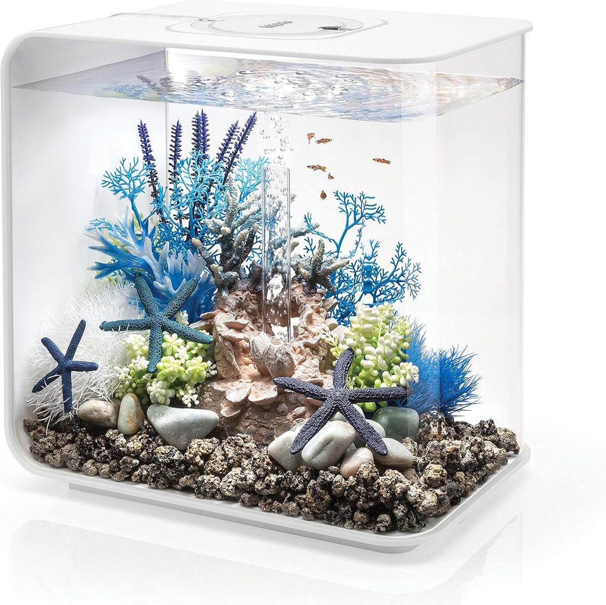 Test : biOrb FLOW 30 LED blanc, aquarium design et pratique