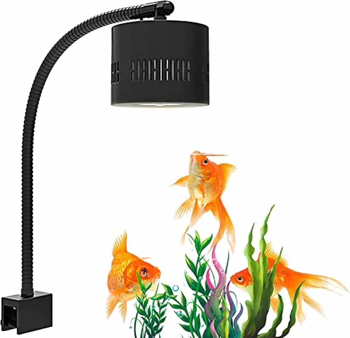 Test : lominie éclairage d'aquarium 80 W à intensité variable