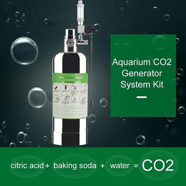 Ailgely Kit de générateur de CO2 5 l pour double aquarium en acier inoxydable CO2 avec électrovanne diffuseur à bulles, réacteur de dioxyde de carbone pour aquarium végétal