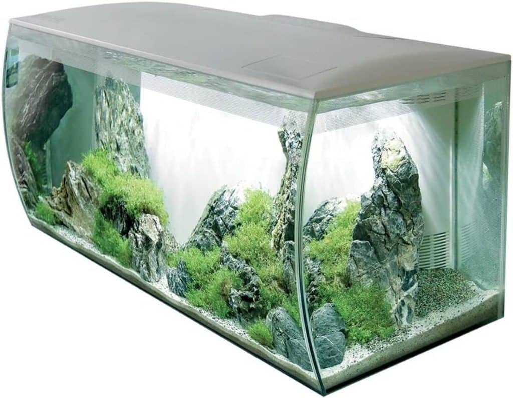 Test de l'aquarium d'eau douce blanc FLUVAL Flex 123 l