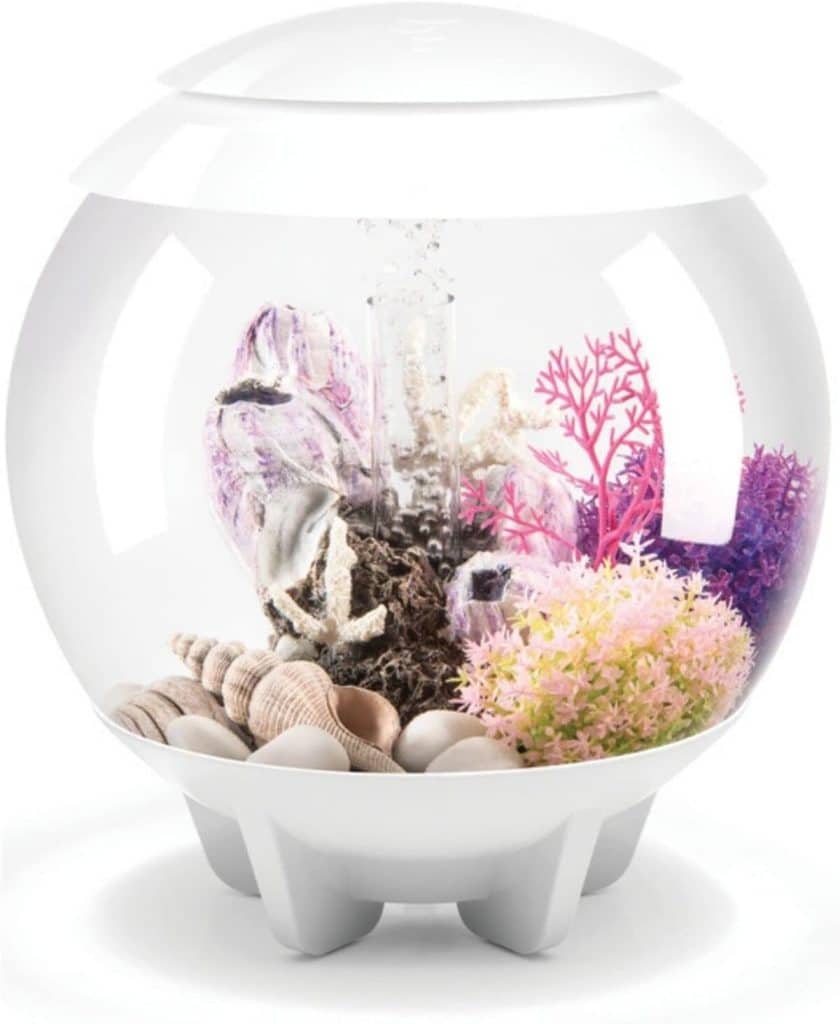 Test du biOrb Halo 15 MCR blanc : un aquarium innovant