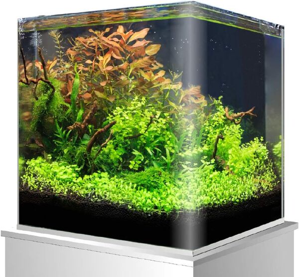 Amtra Nanotank 90 - Réservoir d'Aquarium 90 L - Boîtier en Verre Extra Clair 45 x 45 x 45 cm - Réservoir pour Poissons Rouges Ou comme Réservoir pour Tortues d'eau avec Tapis Absorbant