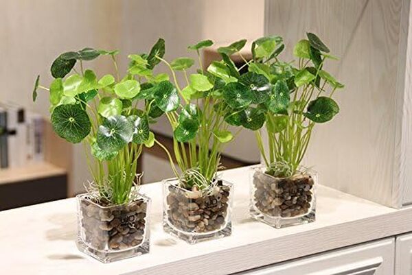 4,5 kg de galets décoratifs naturels polis - Galets polis - Petites pierres décoratives pour eau douce, poissons, animaux, plantes, aménagement paysager, décoration d'intérieur, etc. (sac de 4,5 kg)