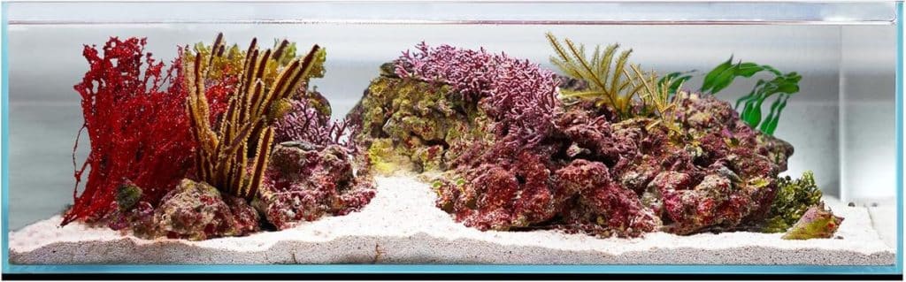 Test : aquarium Ultum Nature Systems 60S ultra transparent