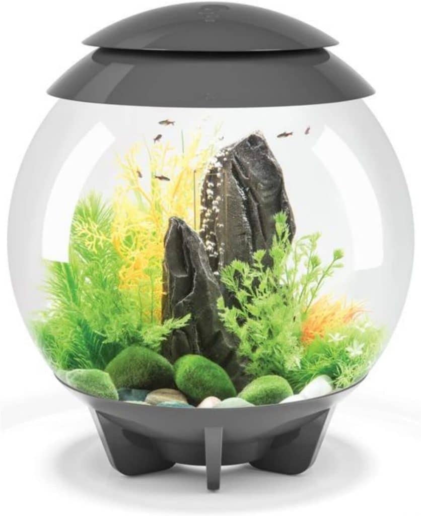 Test de l'aquarium biOrb Halo 30 MCR gris