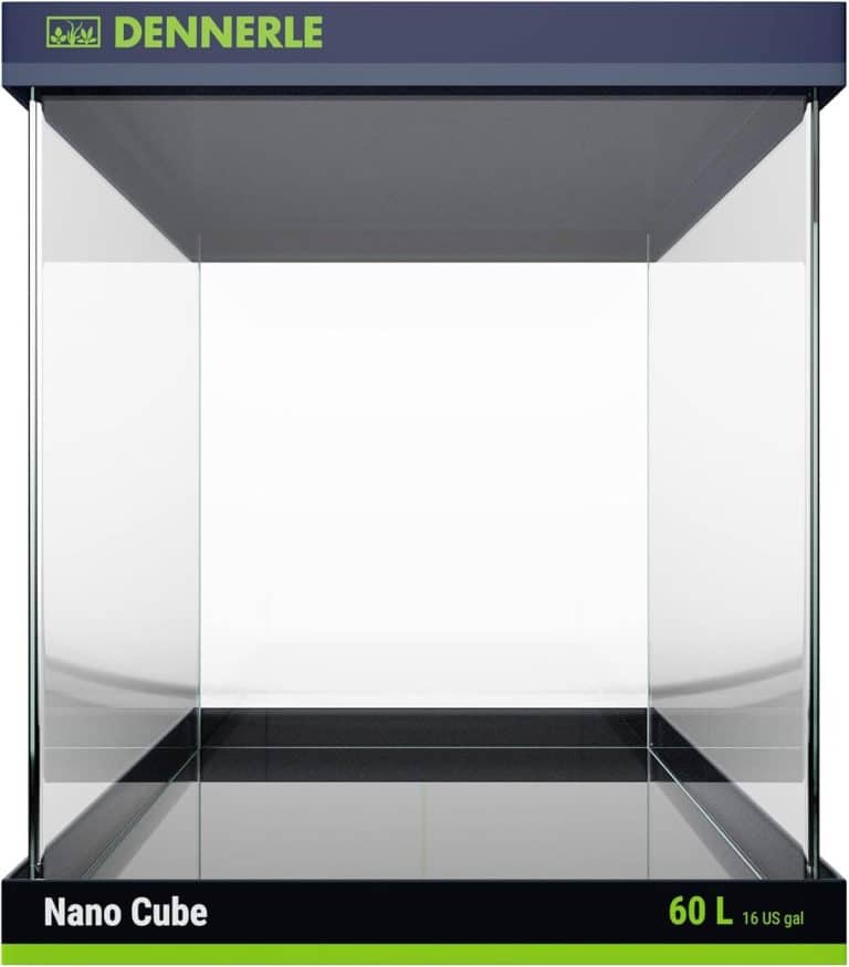 Test Dennerle Nano Cube : 60 L de plaisir aquatique