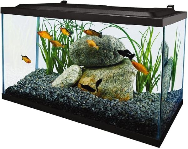Tetra Aquarium LED Complet de 35,4 litres, Comprend Un éclairage LED, Une Filtration et des Accessoires