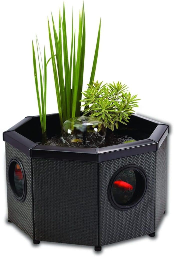 Test de l'Aqugarden Affinity Pond : kit de bassin octogonal éclairé