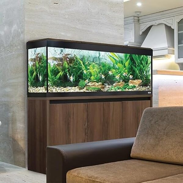 Explorez l'aquarium Fluval Roma 240 l : un éclairage LED Bluetooth pour un environnement aquatique exceptionnel. Découvrez ses caractéristiques, design et avantages.