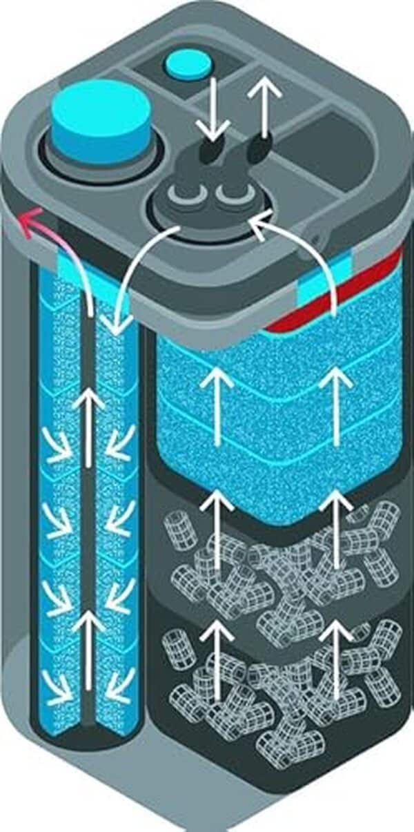 Découvrez notre essai détaillé du filtre extérieur Oase BioMaster² 850, conçu pour offrir une performance optimale dans les aquariums allant jusqu'à 850 litres. ágrafo