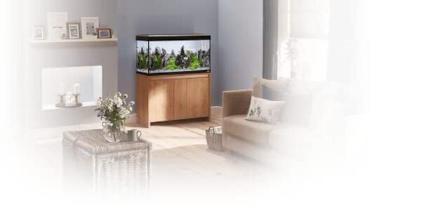 Découvrez notre analyse détaillée du Fluval Roma LED Bluetooth 125 l en chêne : avantages, caractéristiques et pourquoi cet aquarium est parfait pour embellir votre espace de vie.